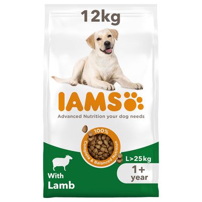Paquet IAMS Advanced Nutrition Adult Large agneau pour chien