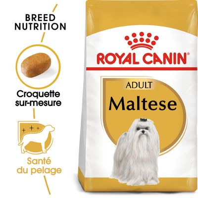 Paquet Royal Canin Bichon Maltais Adult pour chien