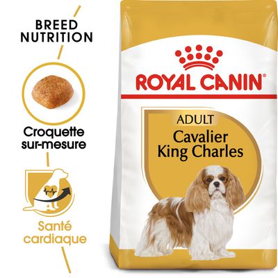Paquet Royal Canin Cavalier King Charles Adult pour chien