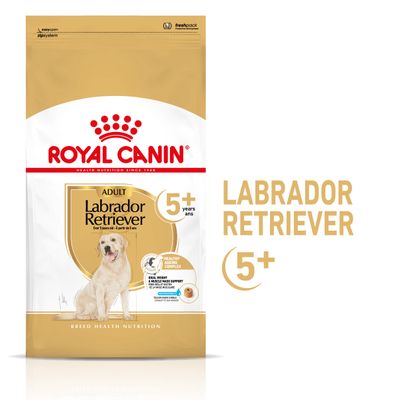 Paquet Royal Canin Labrador Retriever Adult 5+ pour chien