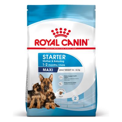 Paquet Royal Canin Maxi Starter Mother & Babydog pour chien