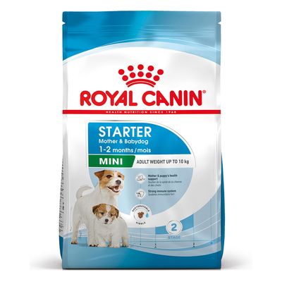 Paquet Royal Canin Mini Starter Mother & Babydog pour chien