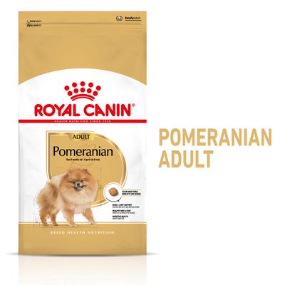 Paquet Royal Canin Spitz Nain Adult pour chien